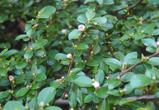 P5032539