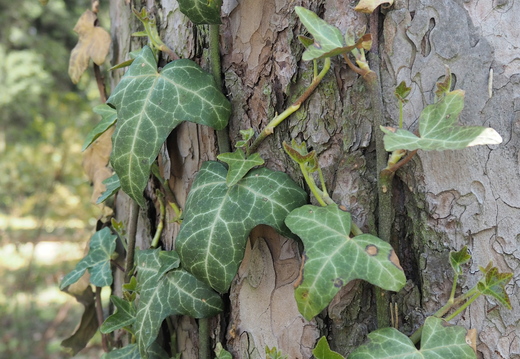 P5032540