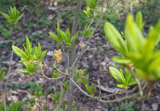 P5032543