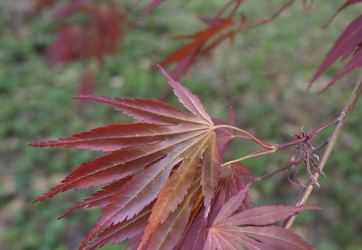 P5032546