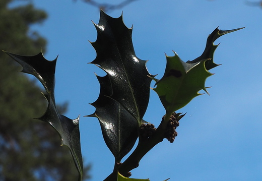 P5032560